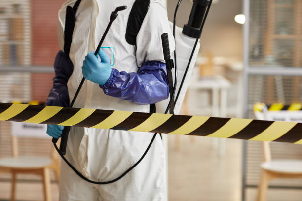 Professional Biohazard Cleanup technician working in Conover, OH